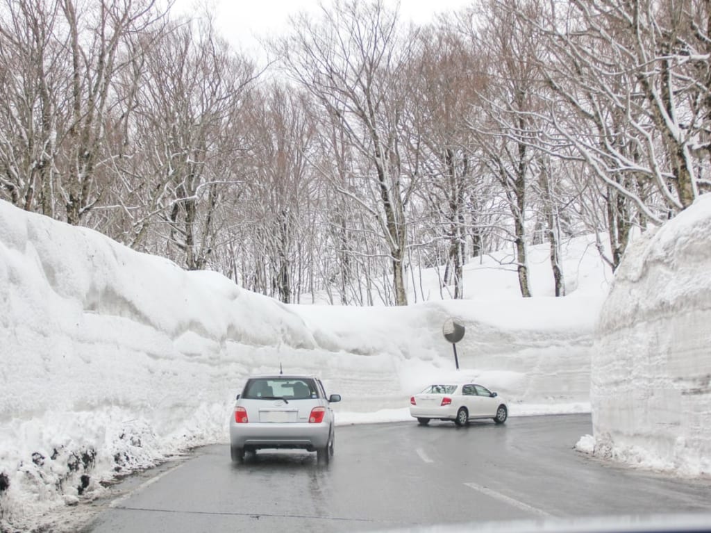 雪の回廊