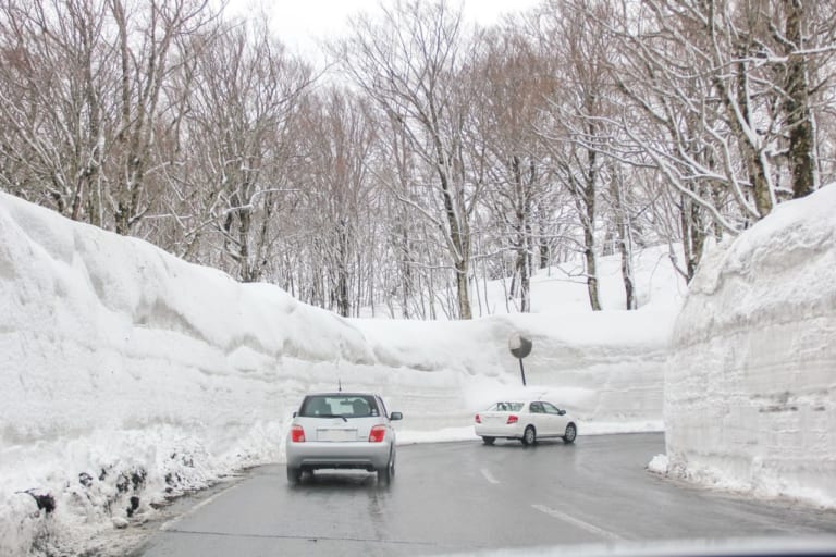 雪の回廊