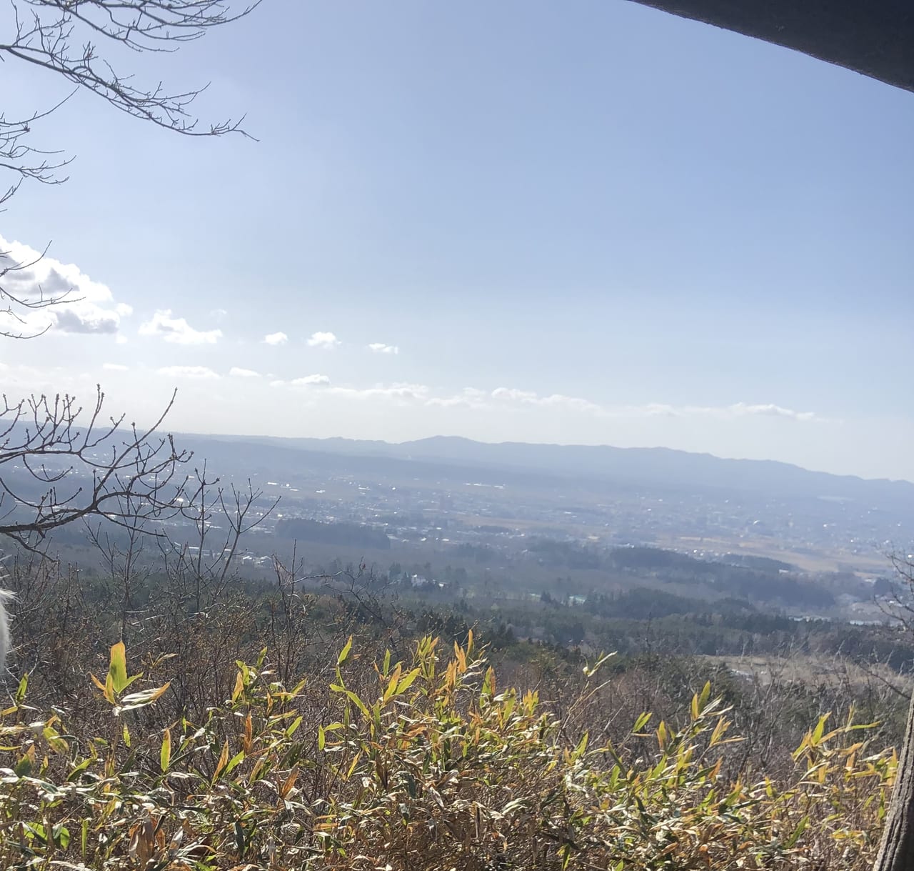 月見野森林公園からの眺め