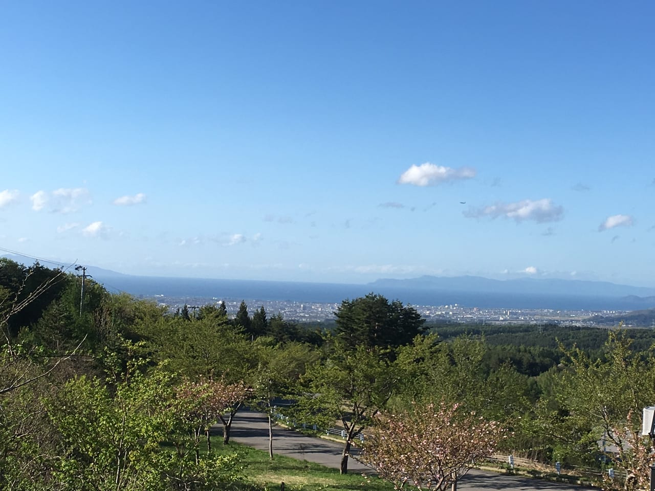 合子沢からの青森市街地